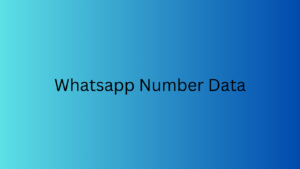 Whatsapp Number Data