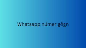 Whatsapp númer gögn